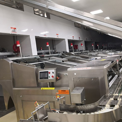 ISO9001 Dry Noodle Making Machine 43T/24h Noodle Processing